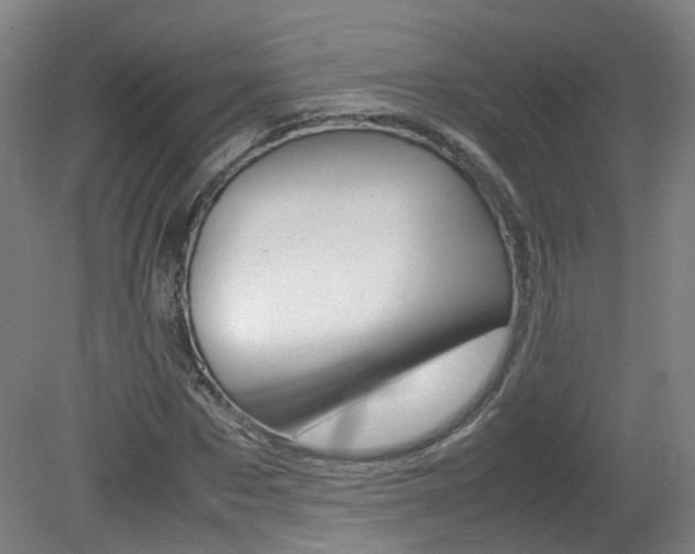 X0000082150873200701191021