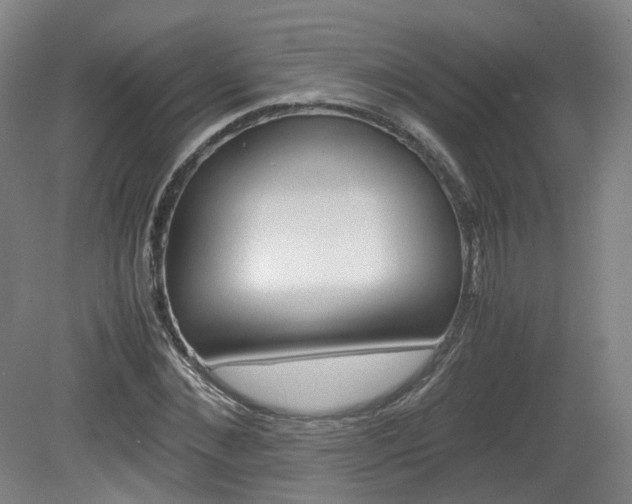 X0000082150876200701191021