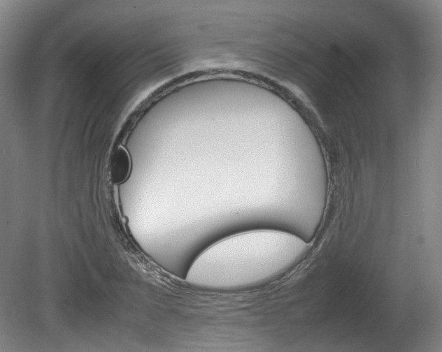 X0000082150879200701191021