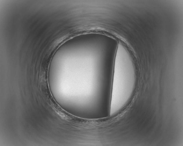X0000082150881200701191021