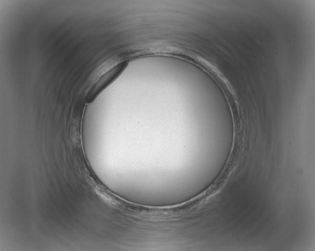 X0000082150889200701191021