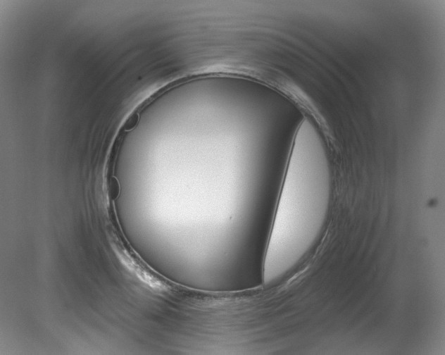 X0000082150892200701191021