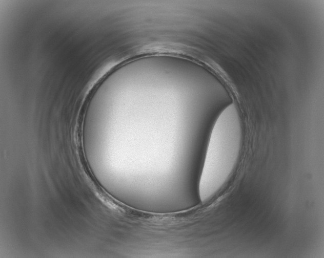 X0000082150893200701191021