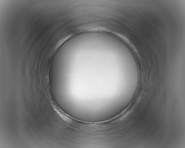 X0000082150897200701191020