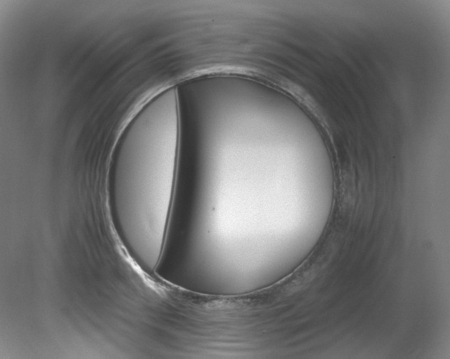 X0000082150898200701191020