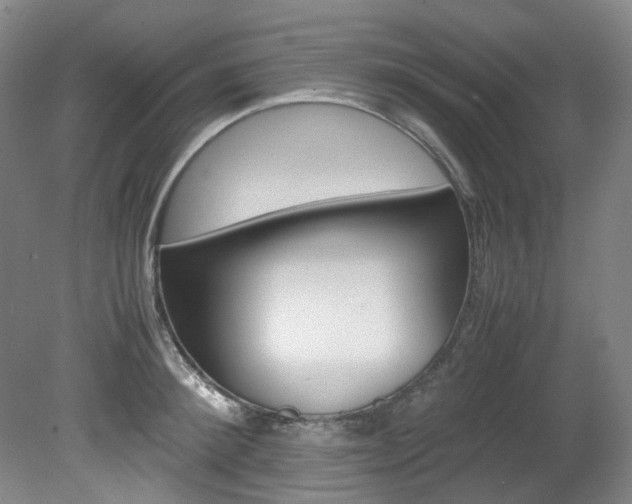 X0000082150900200701191020