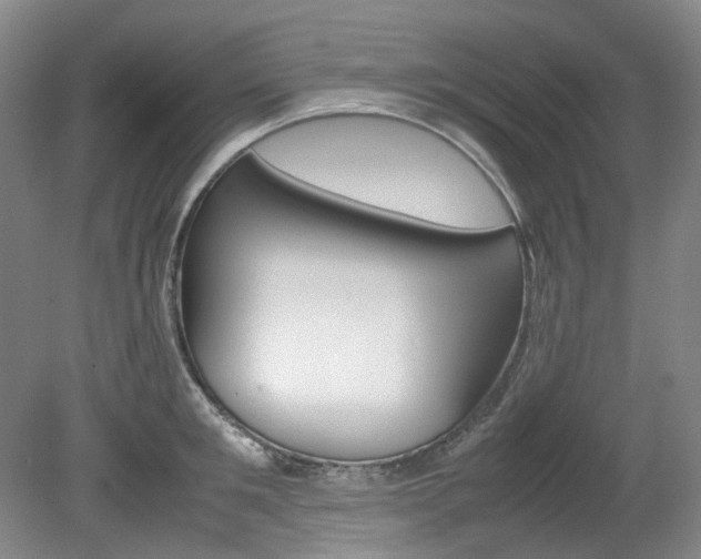 X0000082150901200701191020