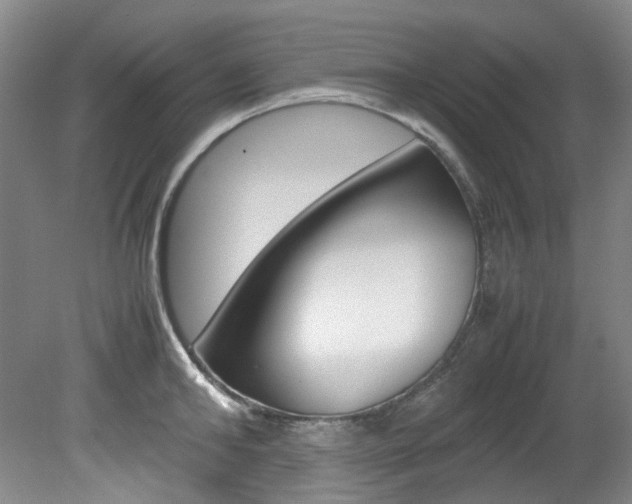 X0000082150902200701191020