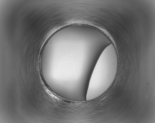 X0000082150903200701191020