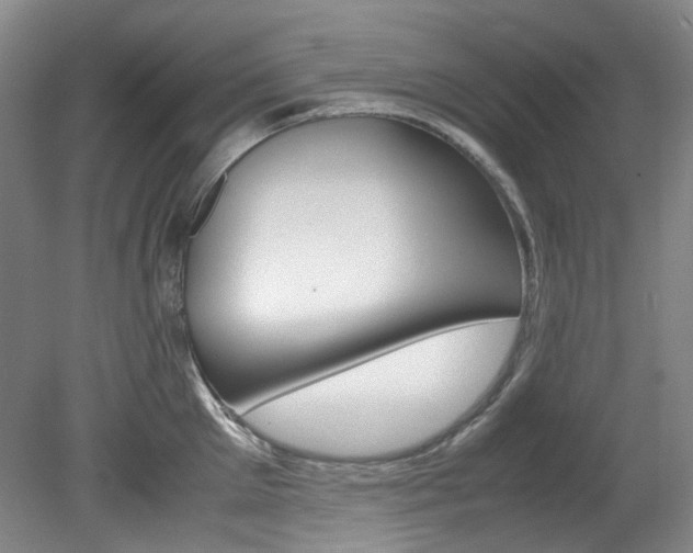 X0000082150905200701191020