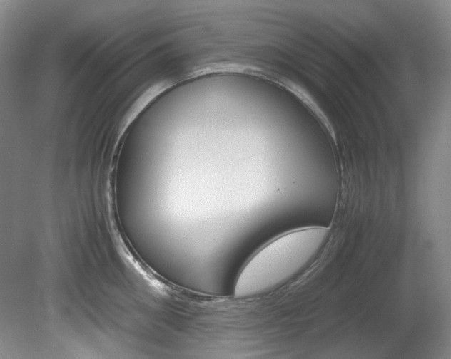 X0000082150906200701191020