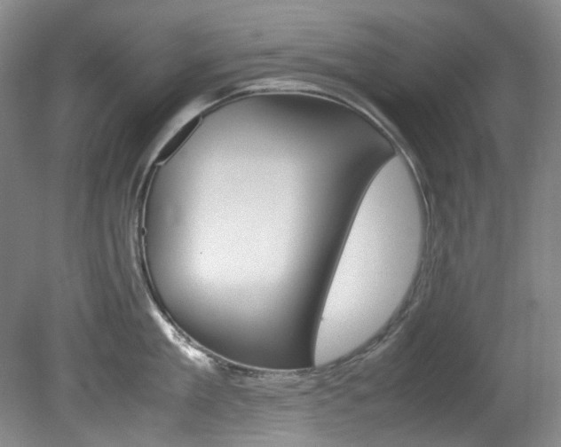 X0000082150909200701191020