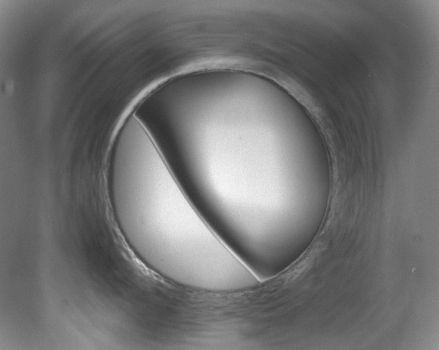 X0000082150912200701191020