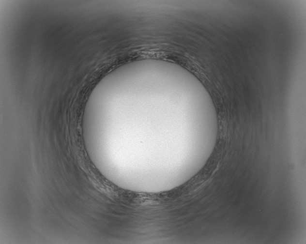 X0000082150913200701191019