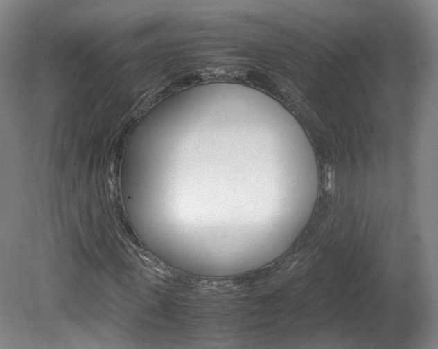 X0000082150915200701191019