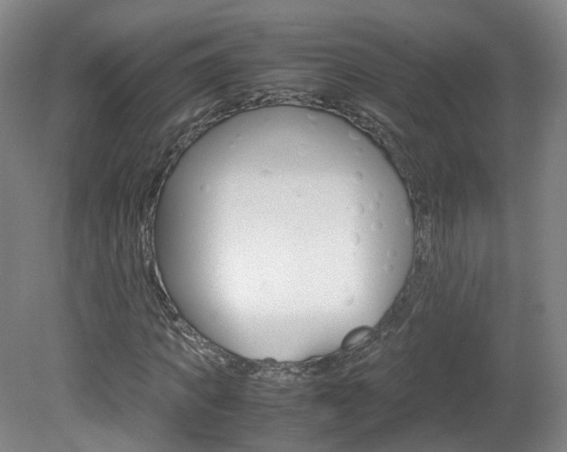 X0000082150917200701191019
