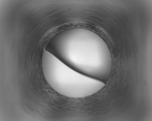 X0000082150919200701191019