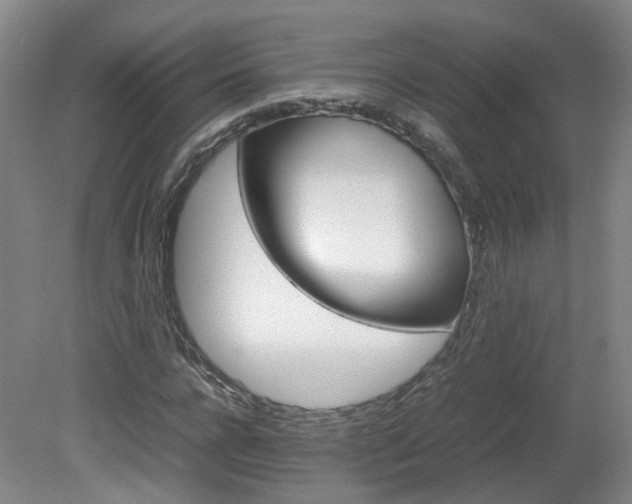 X0000082150920200701191019