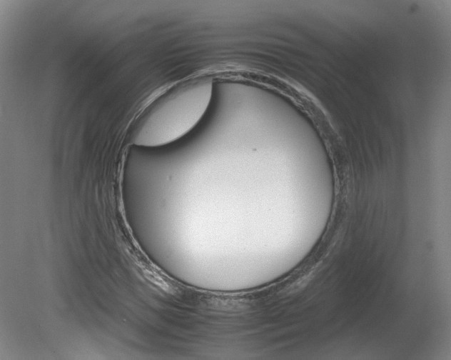 X0000082150921200701191019