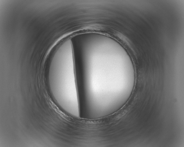 X0000082150923200701191020