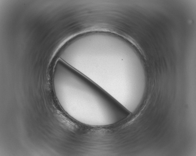 X0000082150926200701191020