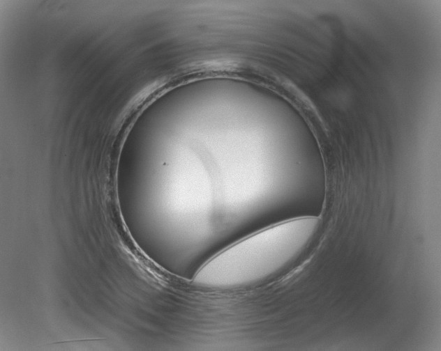 X0000082150930200701191020