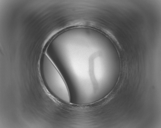 X0000082150936200701191020