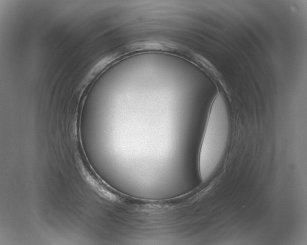 X0000082150938200701191020