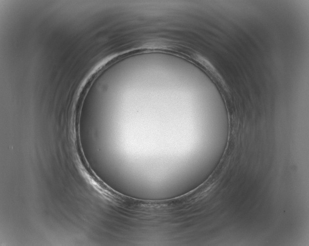 X0000082150939200701191020