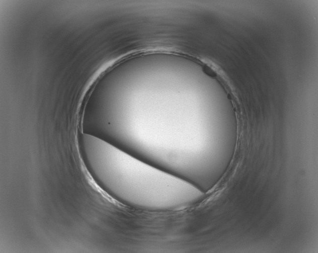 X0000082150941200701191020