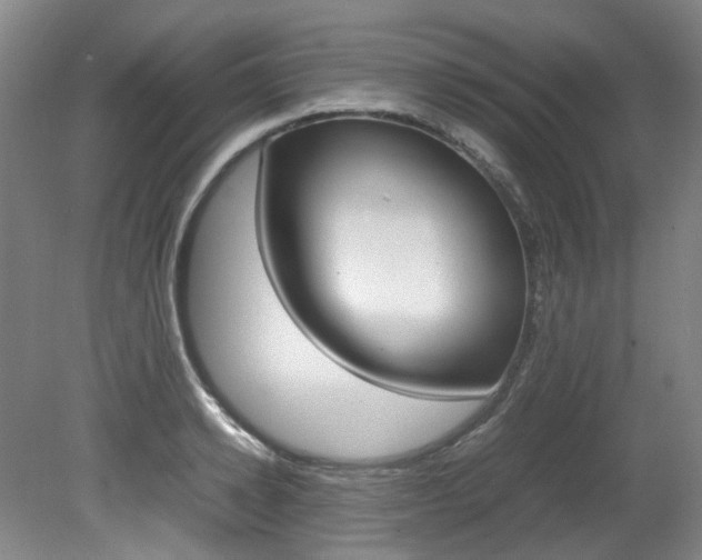 X0000082150942200701191020