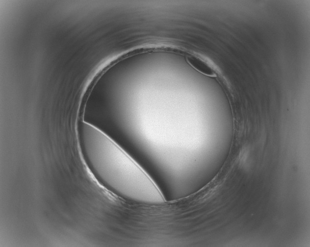 X0000082150943200701191020