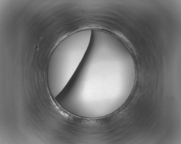 X0000082150945200701191020