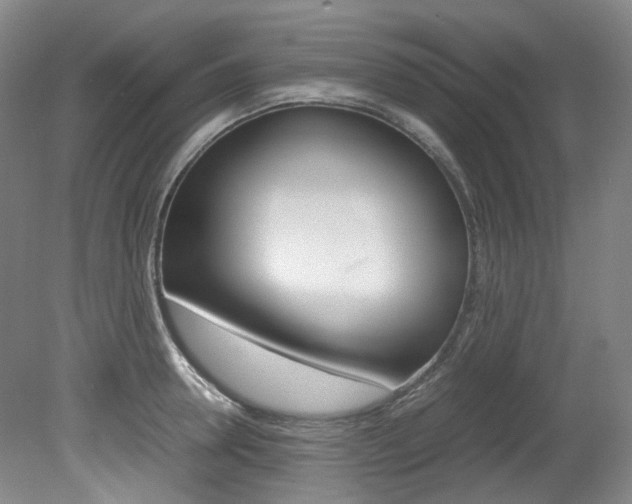 X0000082150946200701191020