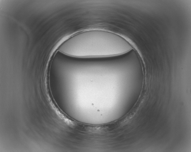 X0000082150949200701191020