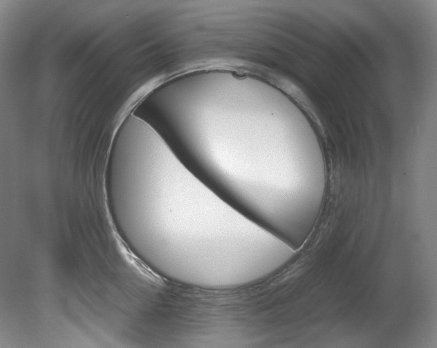 X0000082150954200701191020