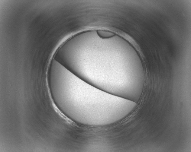 X0000082150958200701191020