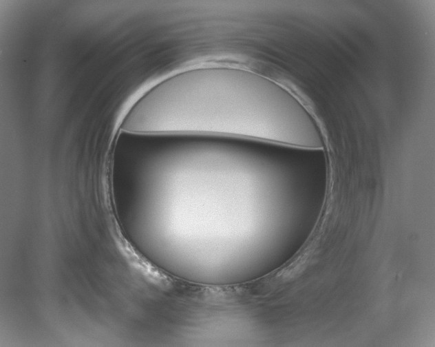X0000082150960200701191020