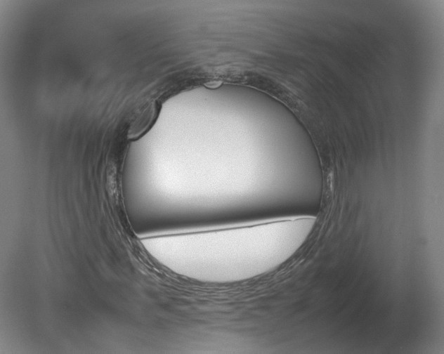 X0000082150963200701191019