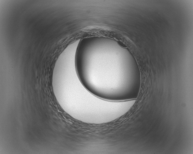 X0000082150965200701191019