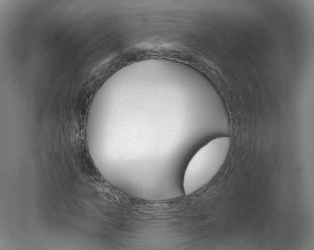 X0000082150966200701191019