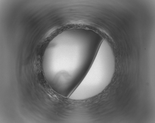 X0000082150968200701191019