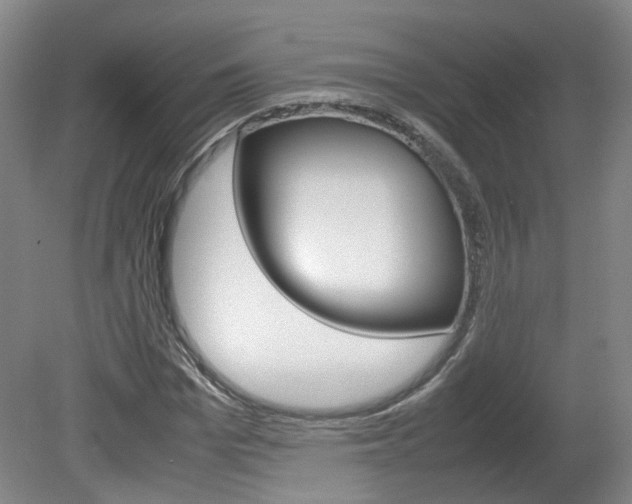 X0000082150969200701191019