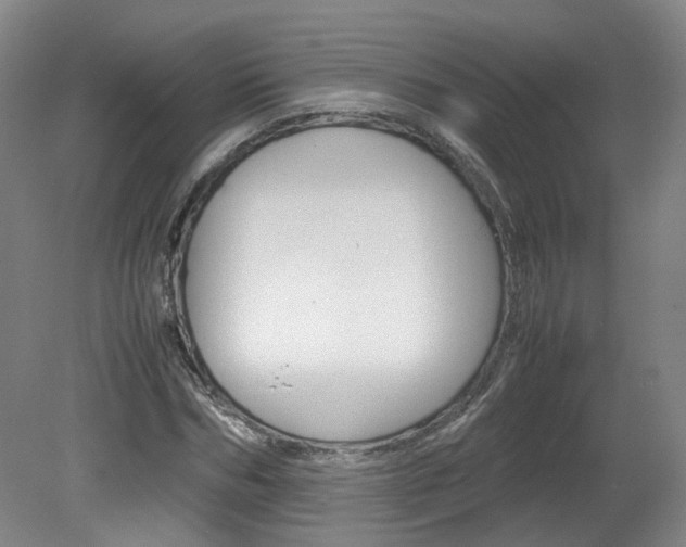 X0000082150970200701191019