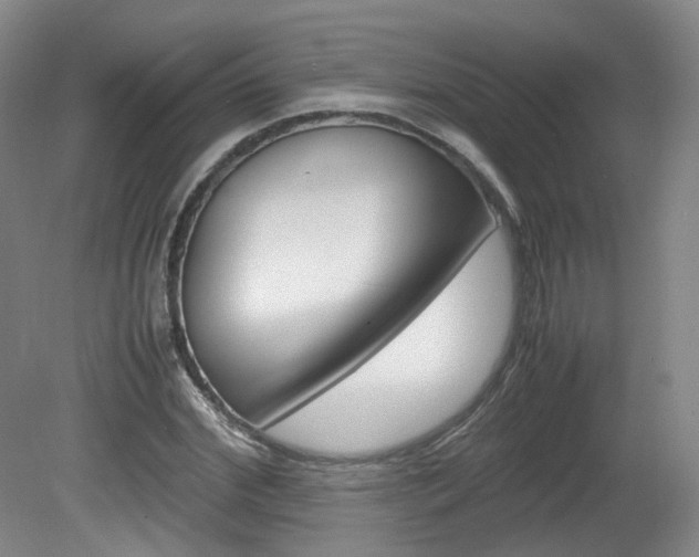 X0000082150972200701191019