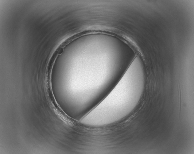 X0000082150976200701191019