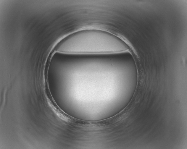 X0000082150980200701191019