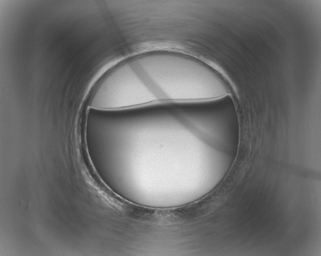 X0000082150983200701191019