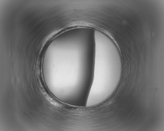 X0000082150987200701191019