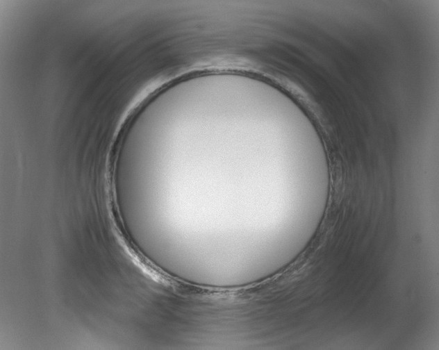 X0000082150990200701191019